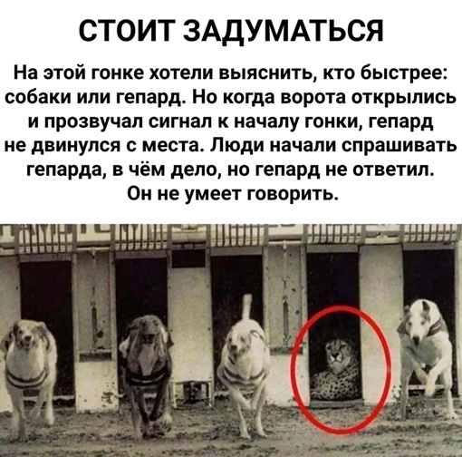 Картинки и мемы для настроения. Выходные близко...