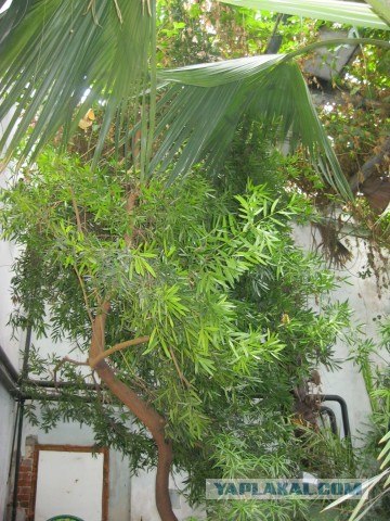 Я люблю Казань!