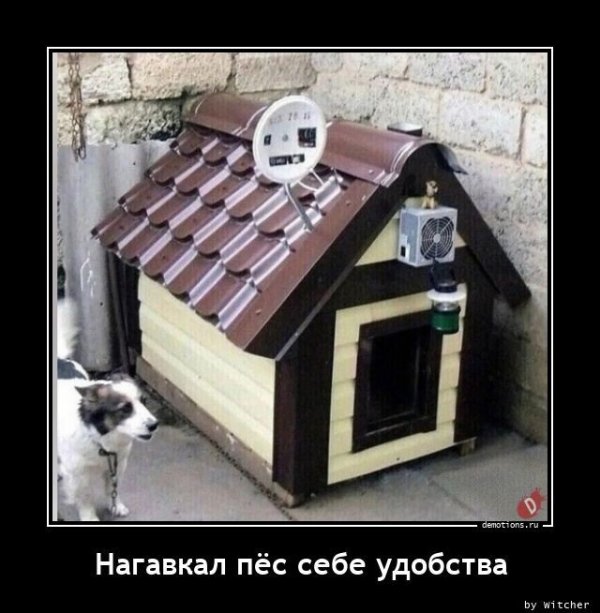 Прикольные и просто красивые картинки 06.10.2022