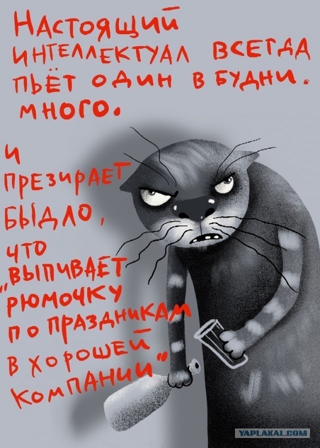 Ужин холостяка