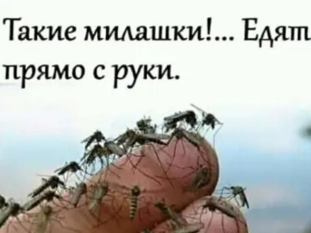 Юмор в картинках и без 01.12.2022