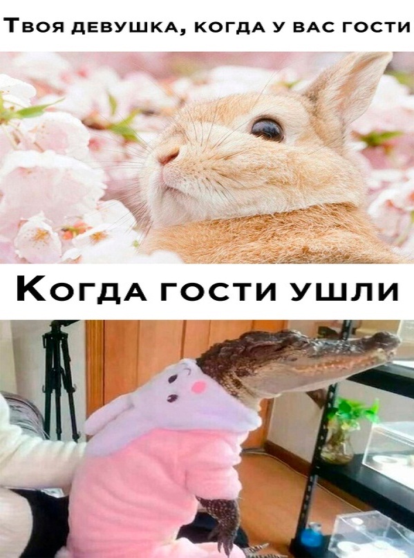 Картинки и мемы для настроения - 131