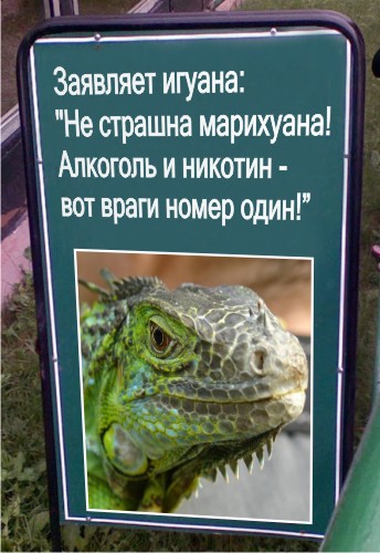 Наркомания в Красноярском зоопарке