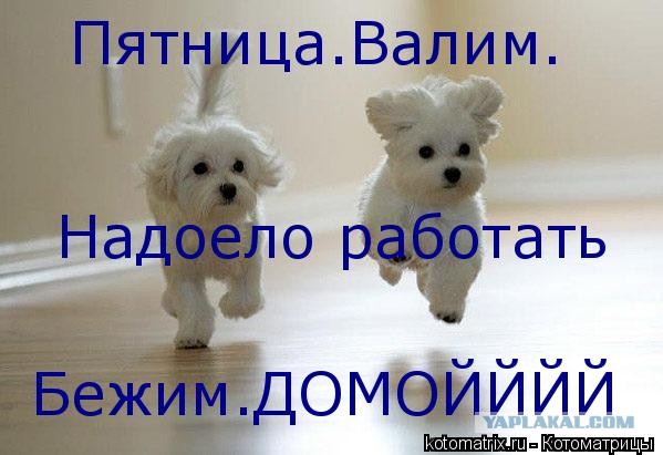 Я уже хочу домой