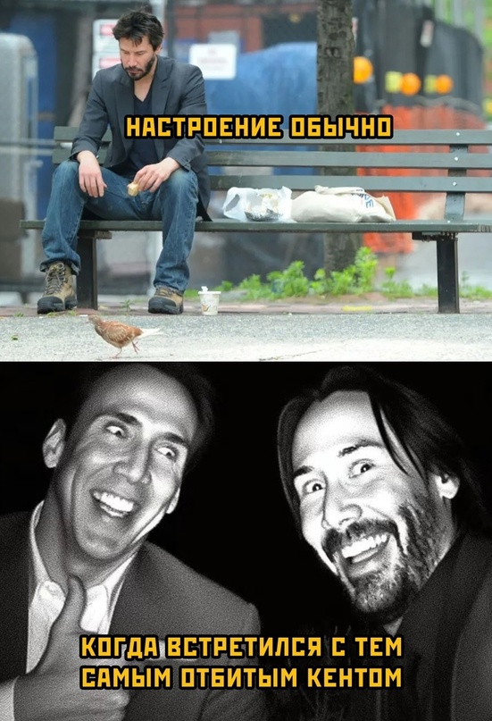 Весёлый полтишок 26.10.23