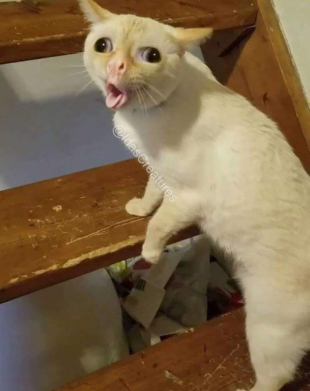 Неловко вышло
