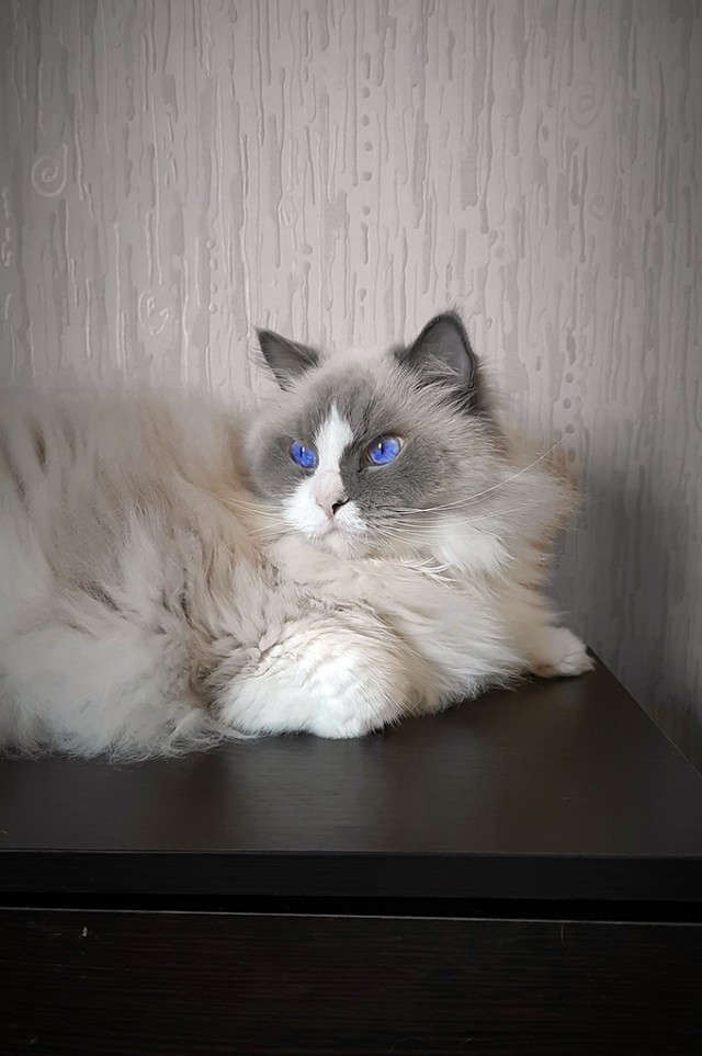 Необычный цвет глаз