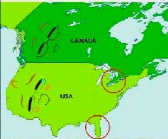 Почему граница между США и Канадой почти идеально ровная?