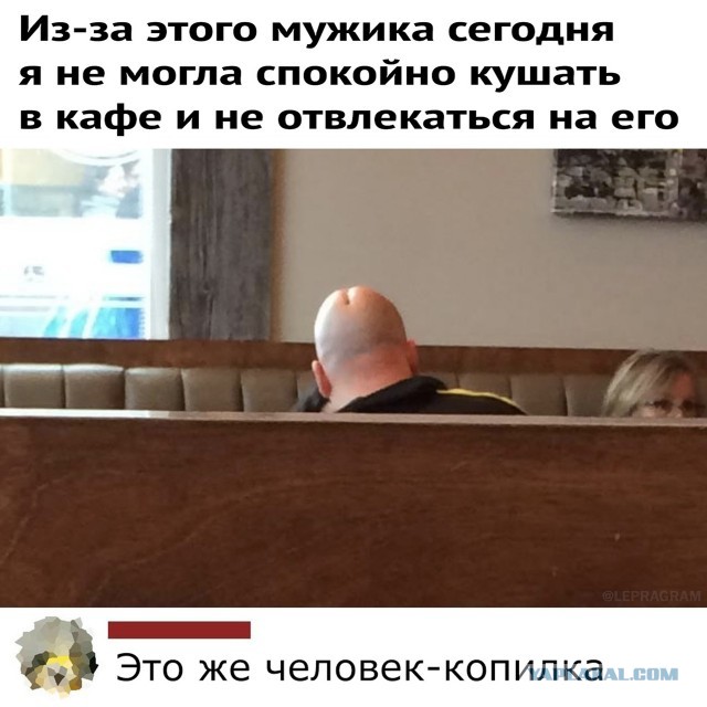 Весёлые картинки