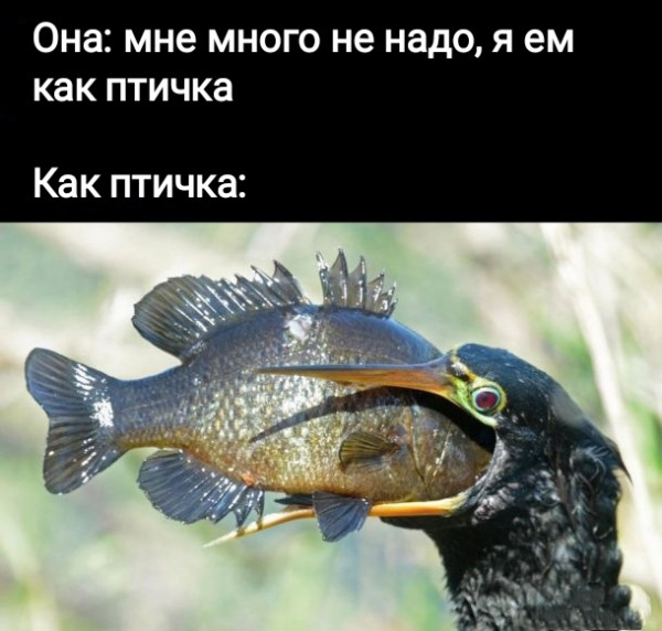 ТРРРидцать тРРРи от 3 мая