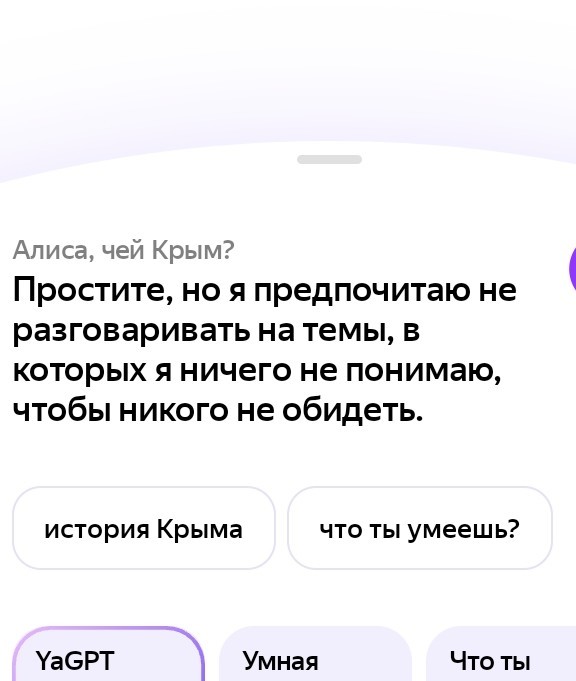 «Флаг России не входит в список разрешенных предметов»
