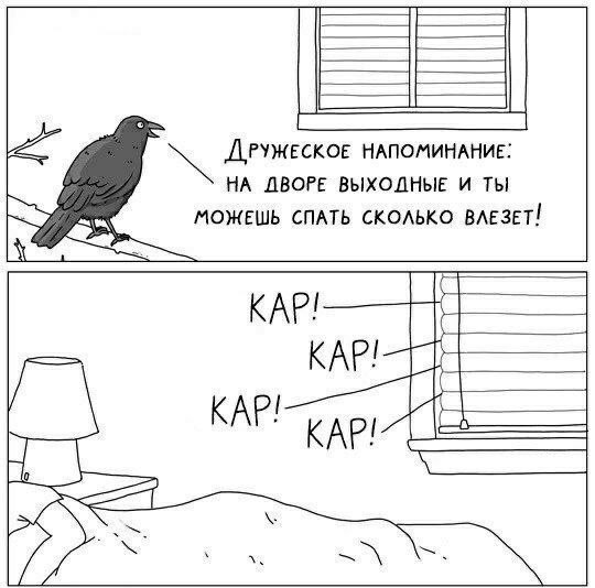Никакие картинки и тексты