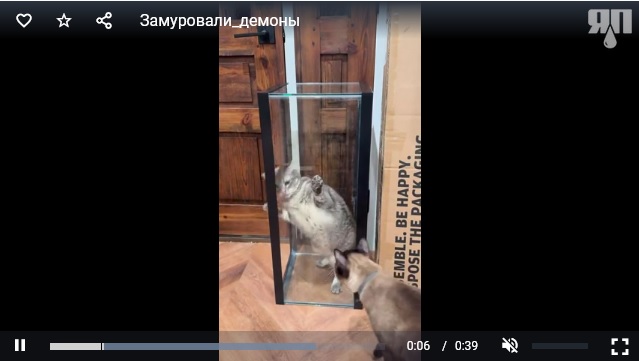 Замуровали, демоны!