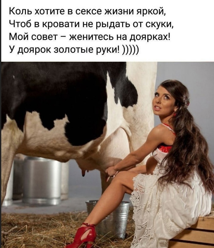 19484671.jpg