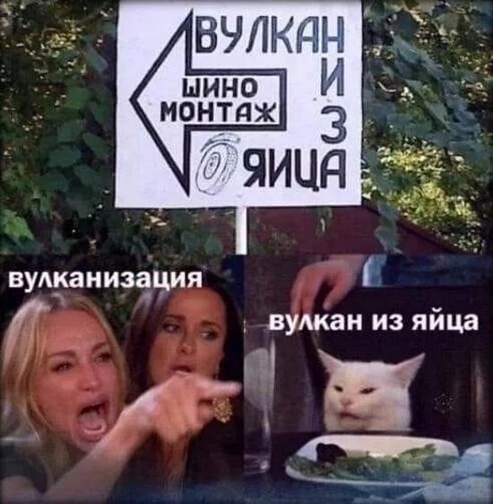 19485671.jpg