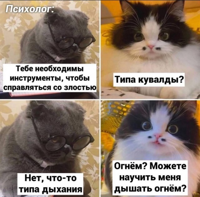 Давайте опубликуем