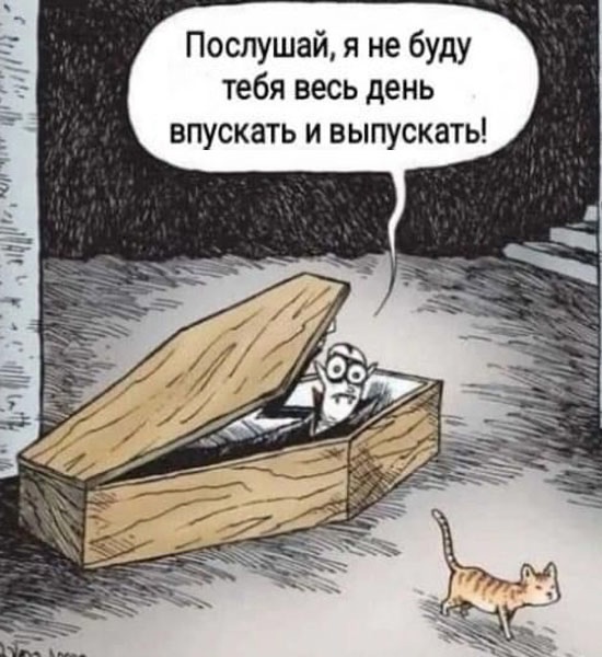 Так себе картинки 22.11.24
