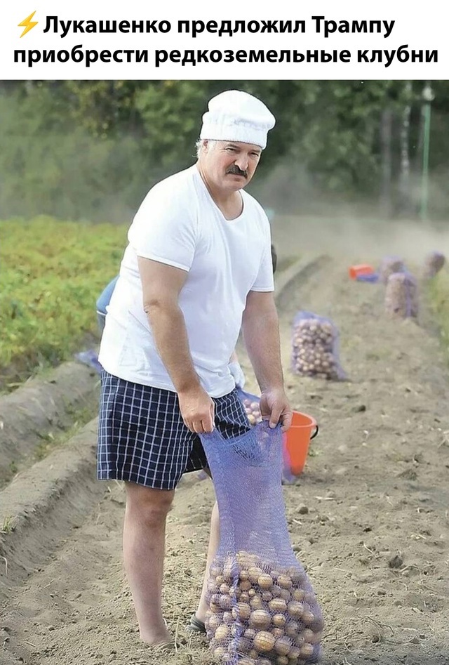 Лукашенко поручил кабмину заняться поиском в Белоруссии редкоземельных металлов