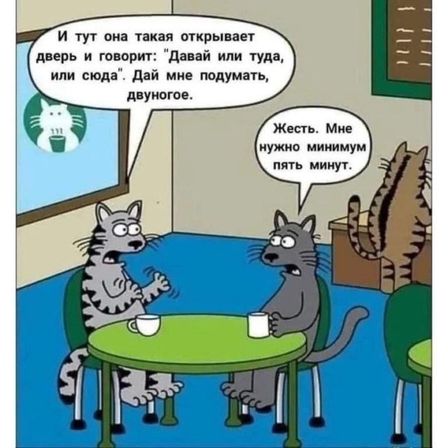 К котовторнику: подборка картинок-баянов с котиками и про котиков. Выпуск 5