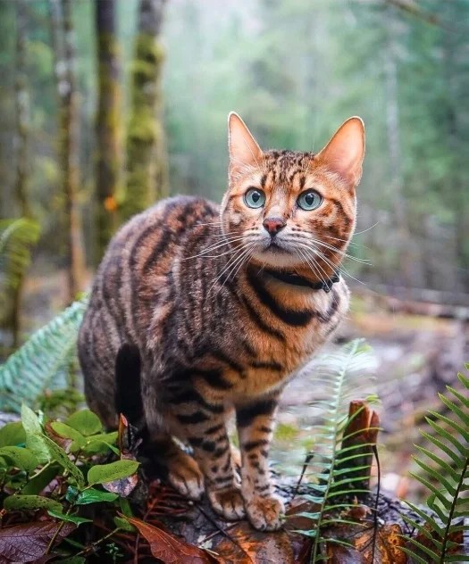 Прикольные и просто красивые картинки 18.11.2025