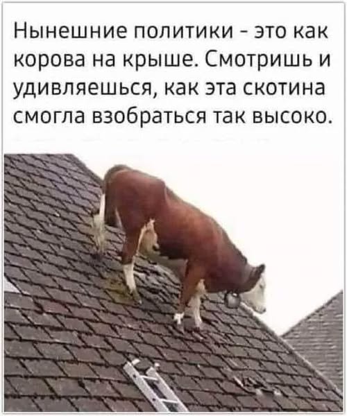 Картинки для деградации 115 (разной степени свежести)