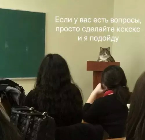 Картинки для деградации 201 (разной степени свежести)