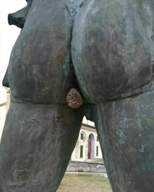 Любопытные картинки