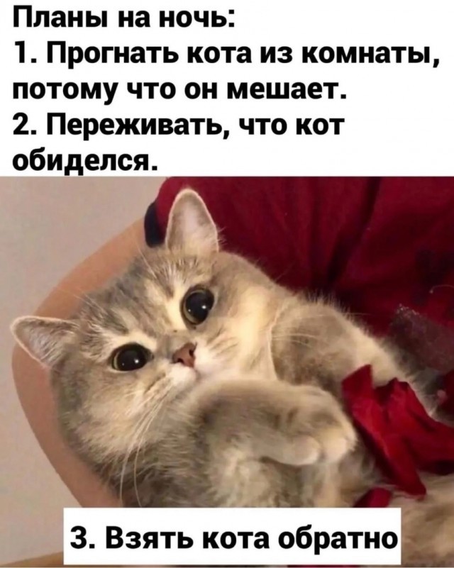 Картинки для деградации 243 (разной степени свежести)