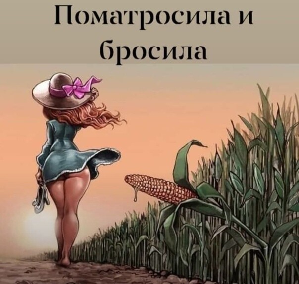 Картинки для деградации 278 (разной степени свежести)
