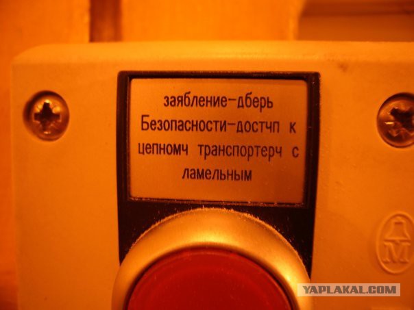 Русский и не русский