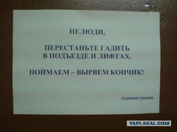 Картинки на Воскресенье, ассорти.