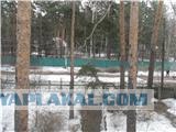 Вид из вашего окна