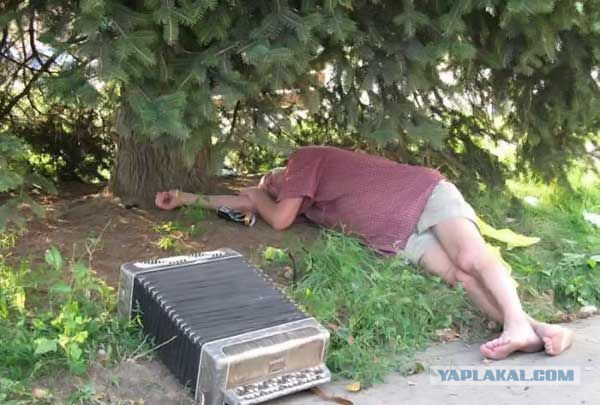 Расслабься