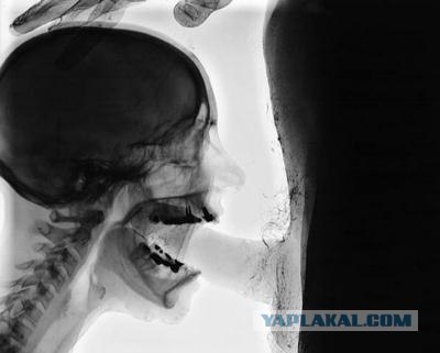 Если бы афиши к фильмам рисовали по названию
