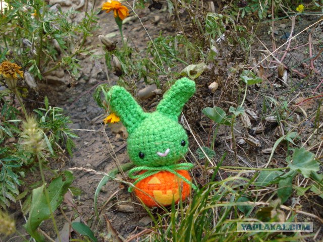 Зайцемонстры (25 фото)