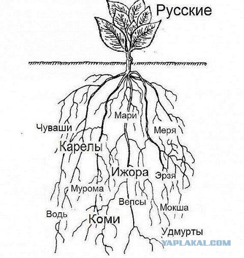 Тайна Pусского Человека