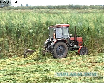 Экипаж украинского танка победил в неравном бою