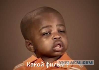 Хозяин доволен.