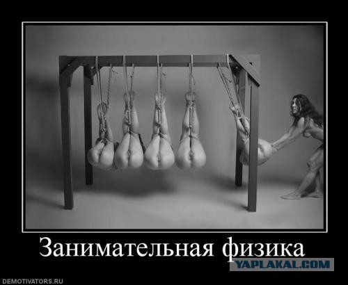 Горячие демотиваторы