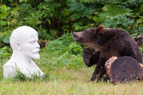 Весёлые картинки