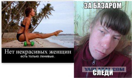 Местами поднадоевшие картинки