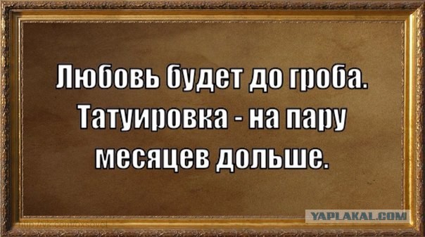 Весёлое из сети