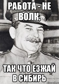 Картинки, гифки для поднятия настроения