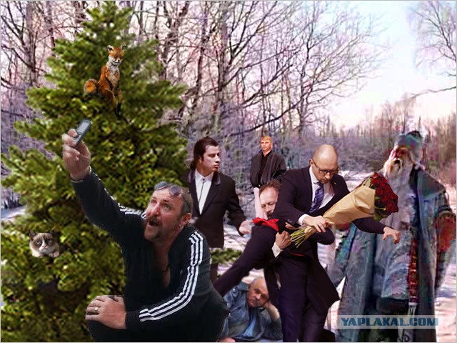 Фотожаберы! Нарядим елочку!