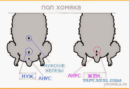 Электронная сигарета, матчасть и выбор