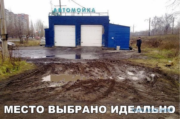 Картинки для поднятия настроения - 4