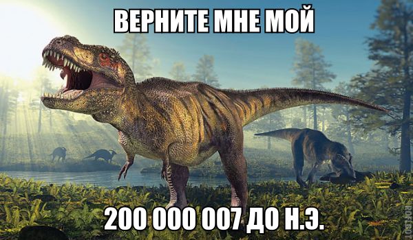 Находка в карьере