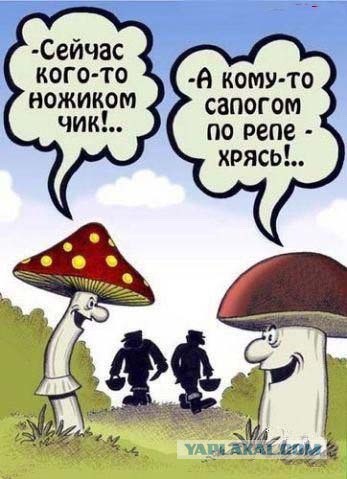 Карикатуры всякие-разные
