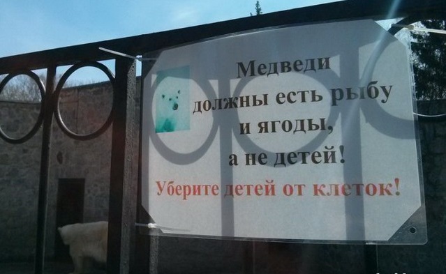 Кровь, кишки и трэшак в картинках
