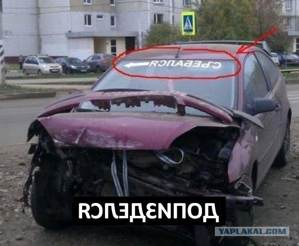 Вот такого вот "интелегента" встретил сегодня в Сочи
